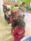 WhatsApp Image 2026-06-25 at 15.04.26
